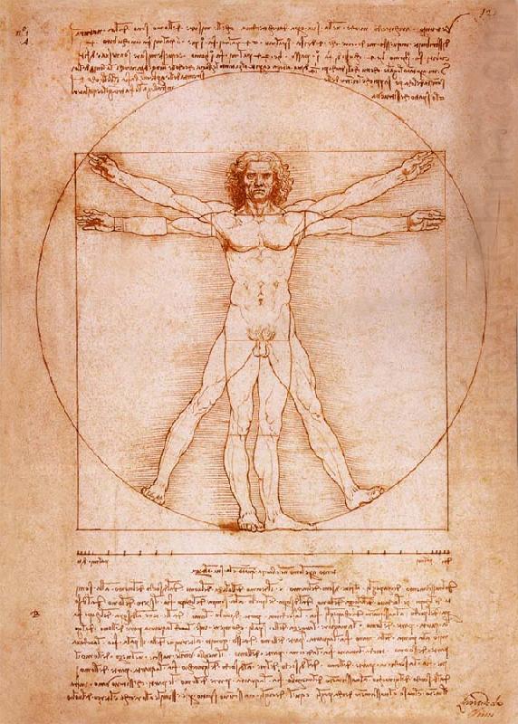 Rule fur the proportion of the human figure, LEONARDO da Vinci